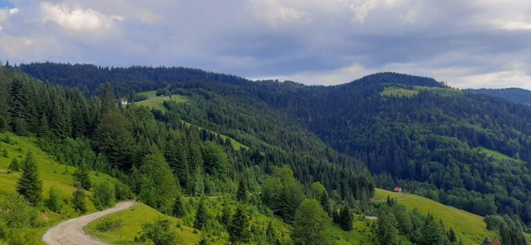 Prognoza: Mogući kraći pljuskovi na sjeveru