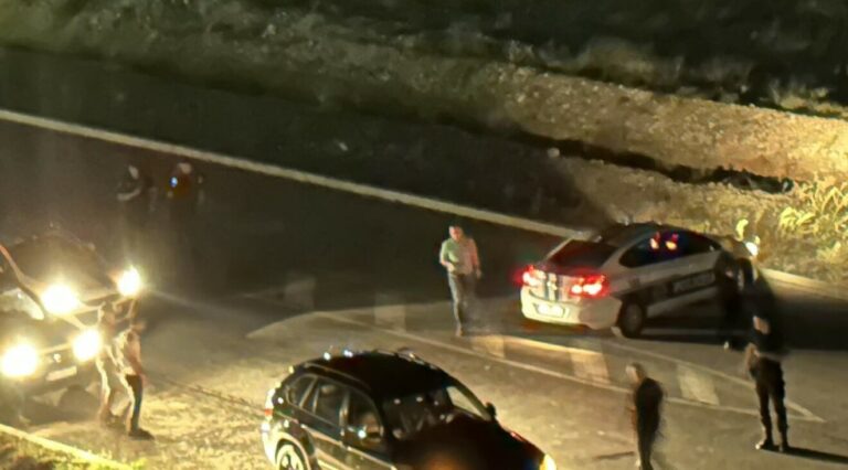 Masovna tuča na Starom aerodromu, intervenisala policija