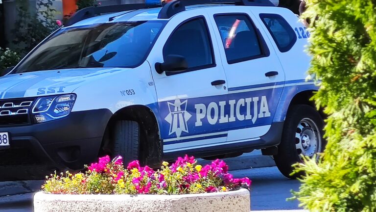 U Beranama uhapšena osoba zbog nasilja u porodici i oružja u ilegalnom posjedu