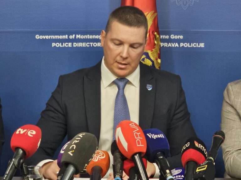 Adžić: Država pokazuje snagu