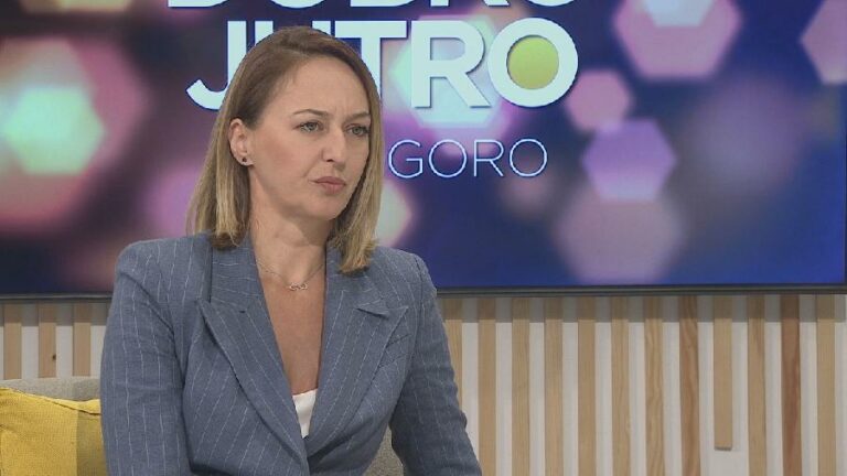 RADOJEVIĆ: Popis bi mogao pokazati da imamo 700.000 stanovnika