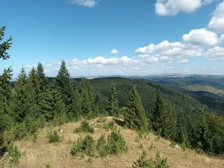 Danas prijatno toplo, temperatura do 25 stepeni