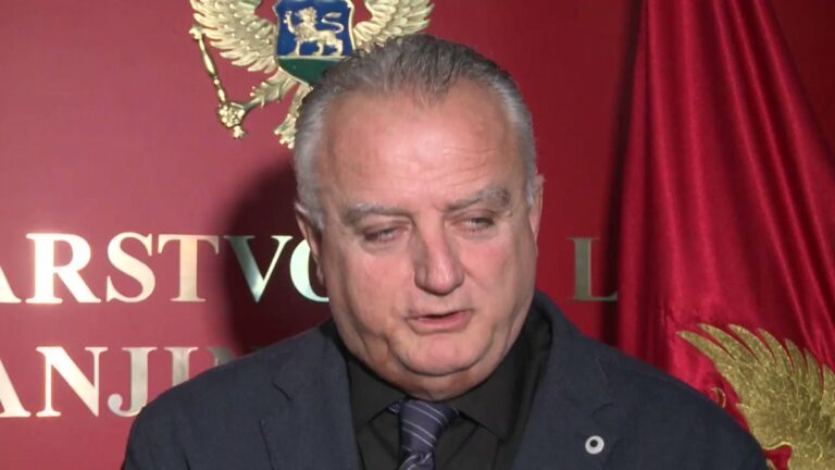 Zenka: Podržavam Spajića zbog saglasnosti oko principa, nijesmo tražili mjesto u Vladi