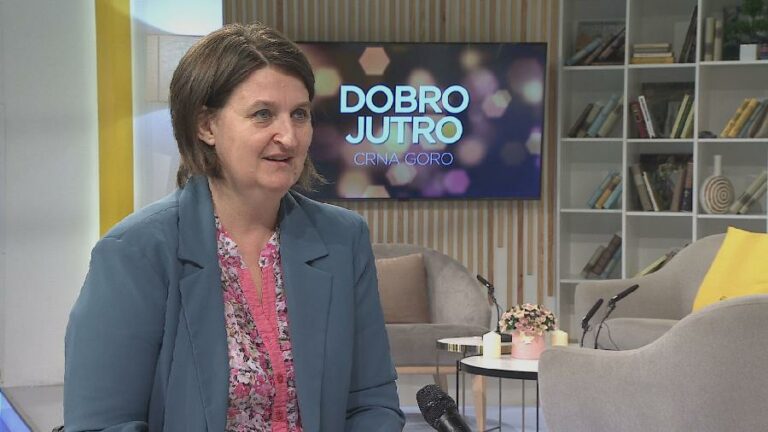 REMIKOVIĆ: Kazne za popisivače i građane koji daju netačne podatke od 100-500€