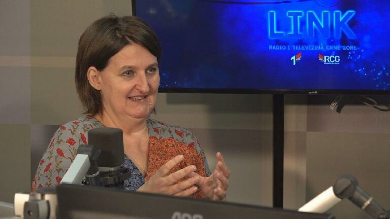 REMIKOVIĆ: Monstat pisao Eurostatu zbog poruka iz EP: Spremni smo za popis