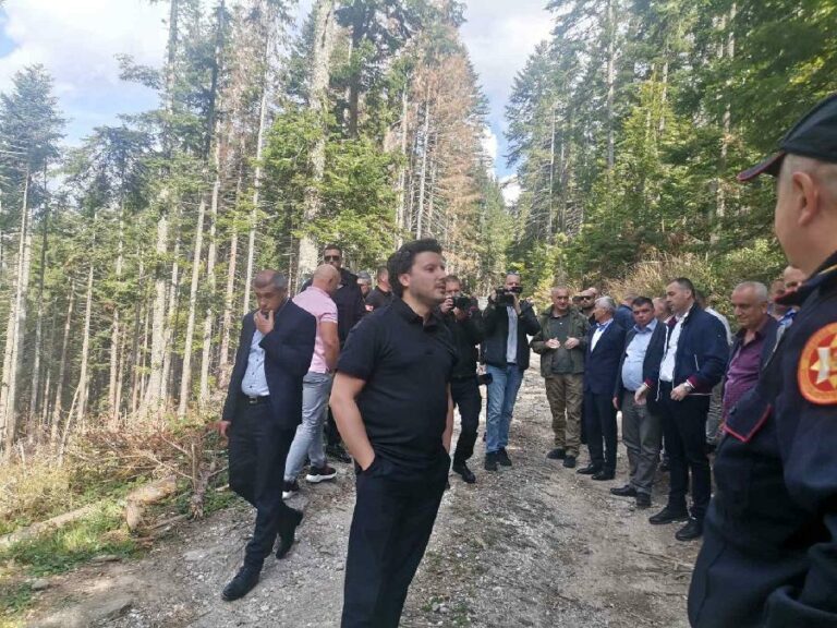 ADžIĆ: Imamo imena onih koji eksploatišu šume, biće hapšenja