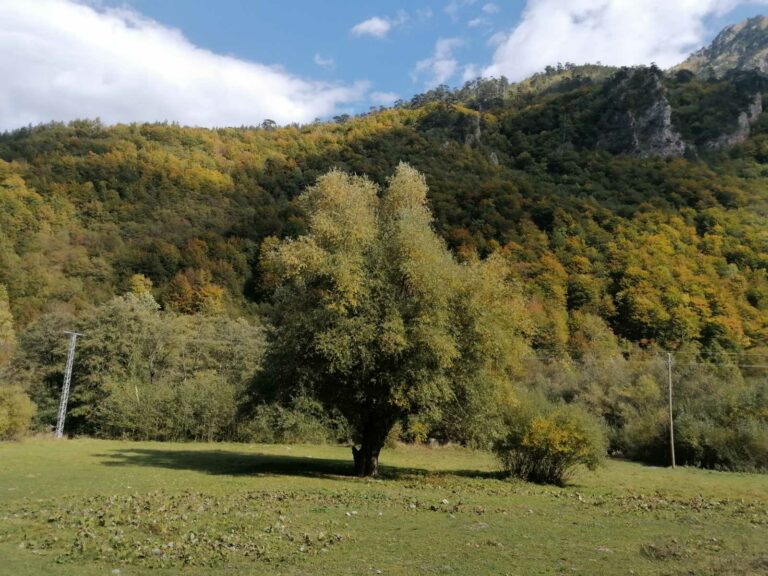 Sunčano, do 17 stepeni