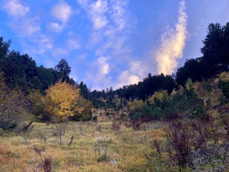 Danas pretežno sunčano, do 27 stepeni
