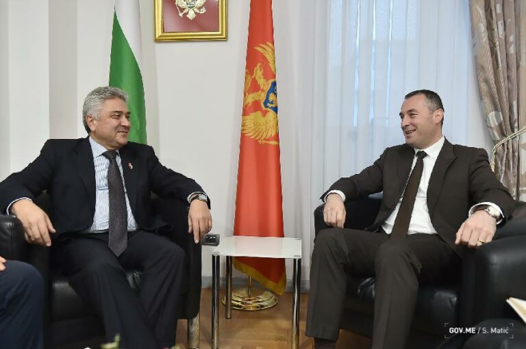 Šćekić: Popis u Crnoj Gori politizovan