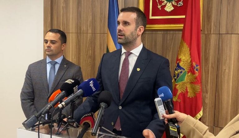 SPAJIĆ: Predložiću odgađanje popisa za 3. decembar