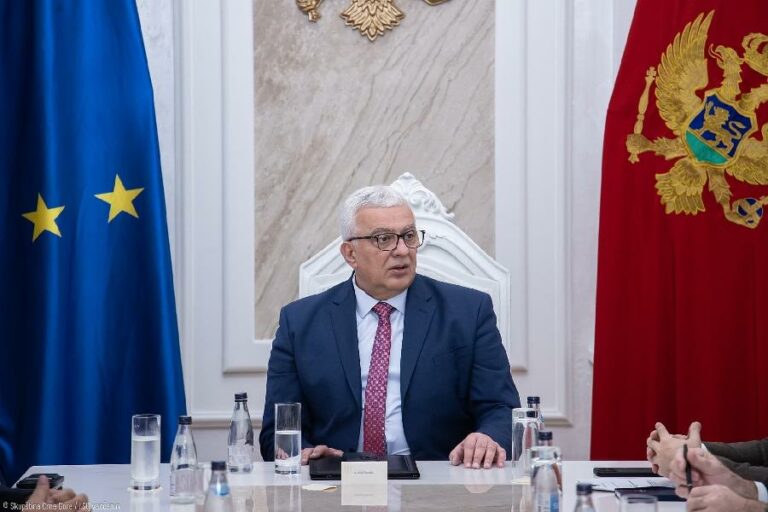 MANDIĆ: Ne radim ni za čije tuđe račune, već isključivo za svoj narod