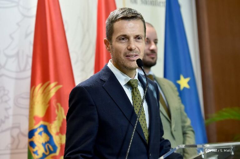 Mujović: Prodaja EPCG ne dolazi u obzir