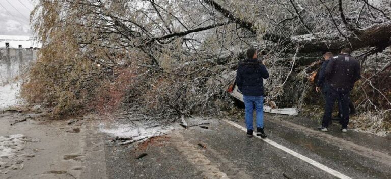 Drvo palo na vozilo, jedna osoba teže povrijeđena