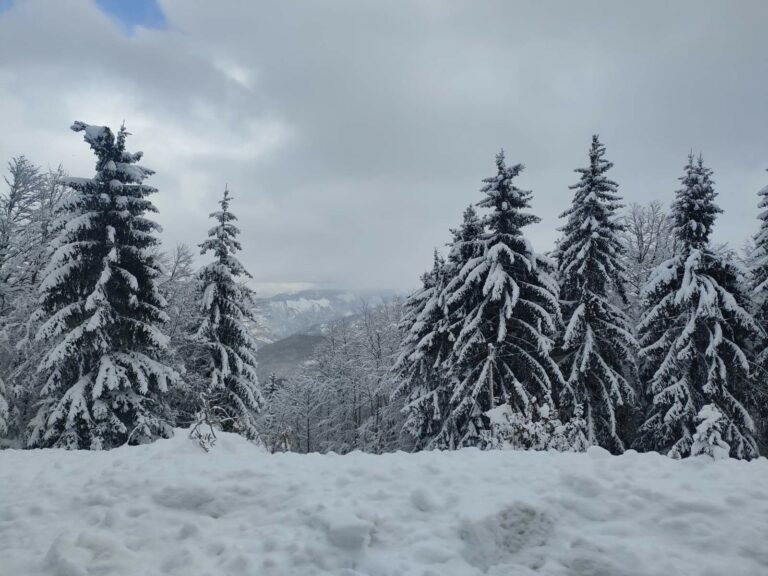 U Bijelom Polju dvije žene pronađene mrtve u snijegu