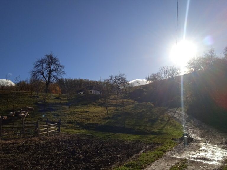 Pretežno sunčano, temperatura do 20 stepeni