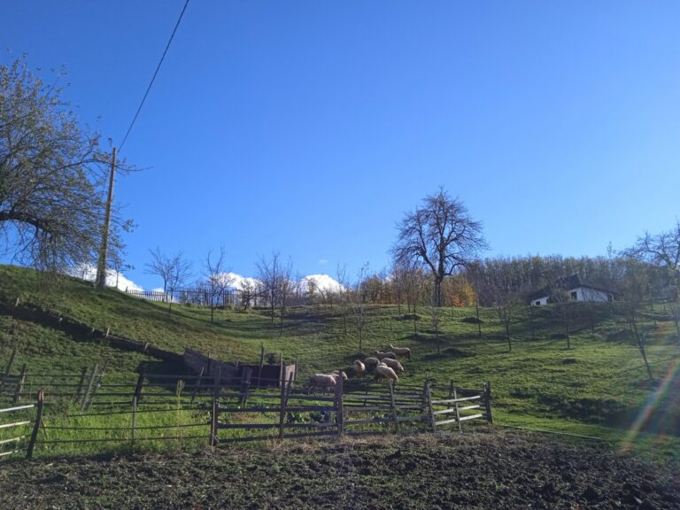 Danas sunčano i vjetrovito