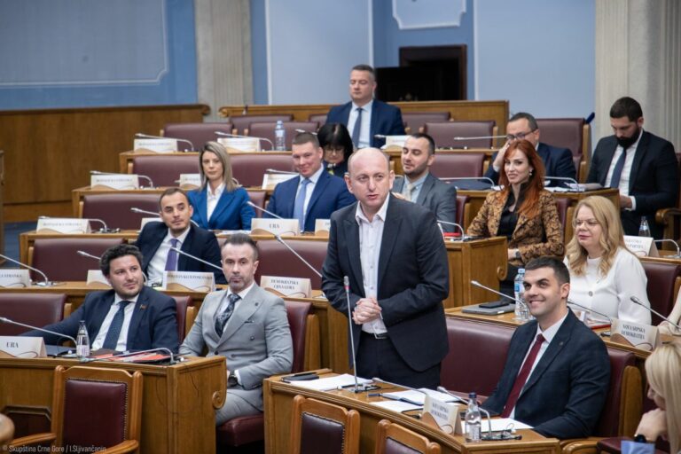 Knežević: Nikada nećemo priznati lažnu državu Kosovo