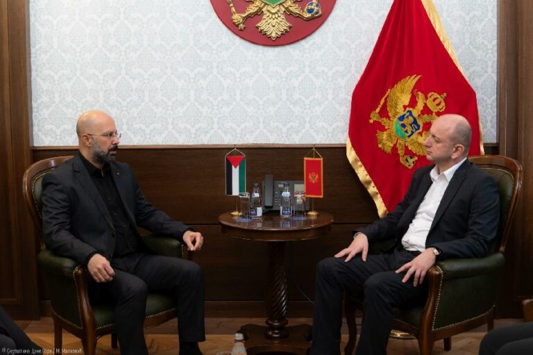 DNP: Skupština da rezolucijom pozove na primirje u Gazi