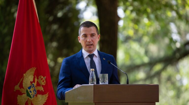 Bečić jedini kandidat za predsjednika Demokrata