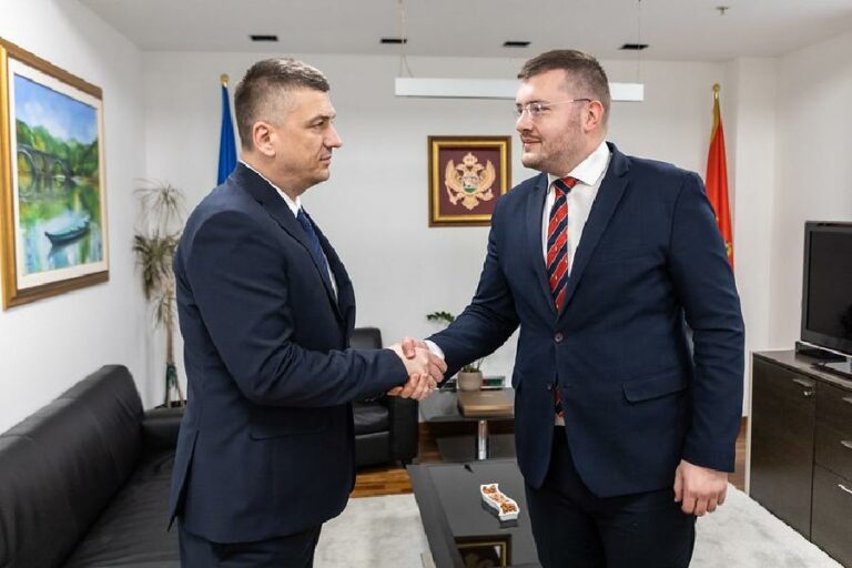 KOPRIVICA-NOVOVIĆ: SDT ima punu podršku Vlade