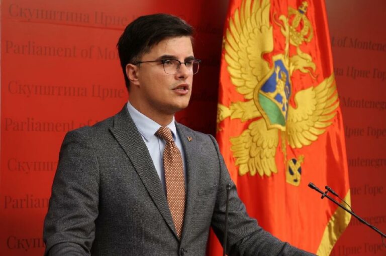 MUP: Unutrašnja kontrola ispituje ko je brisao poruke Vesne Medenice