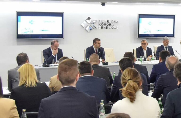 SPAJIĆ NAJAVIO: U januaru tenderi za idejna rješenja za dva auto-puta i četiri brze ceste