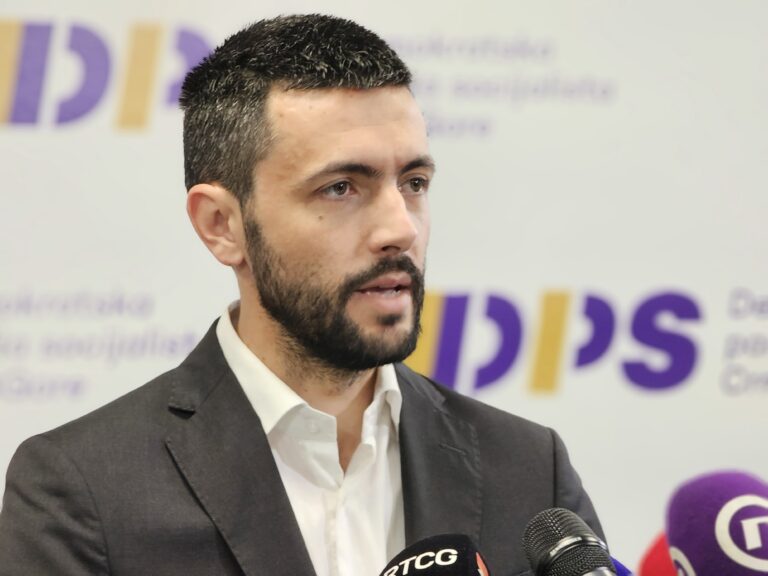 ŽIVKOVIĆ (DPS): Popis može da počne sjutra