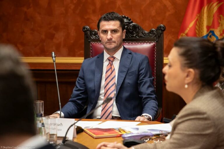 ZOGOVIĆ: Medenica je samo primjer jednog  modela ponašanja i životnog stila, čist produkt politike i načina vladanja Mila Đukanovića