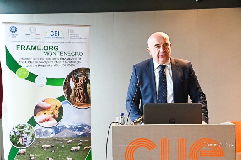 Joković: Odluka Francuske da nam blokira poglavlja je političke prirode