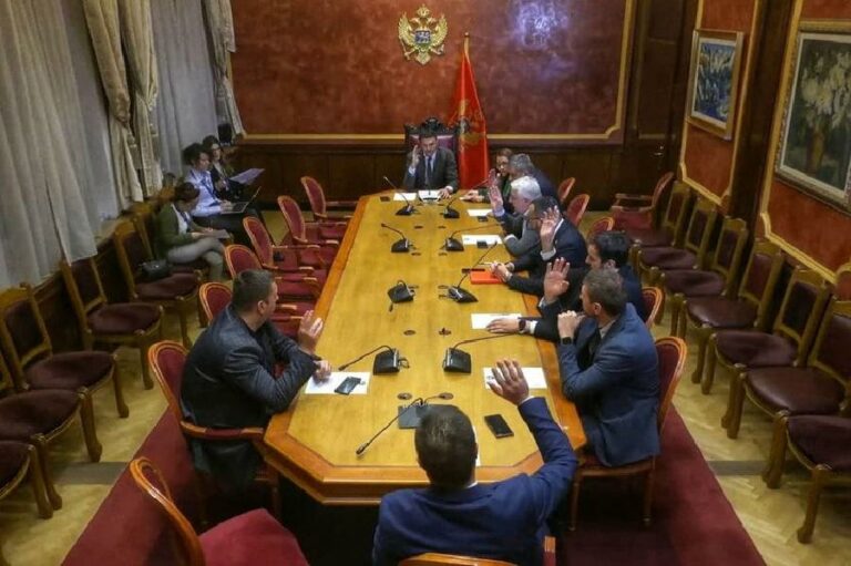 Danas konsultativno saslušanje dva kandidata za VDT-a