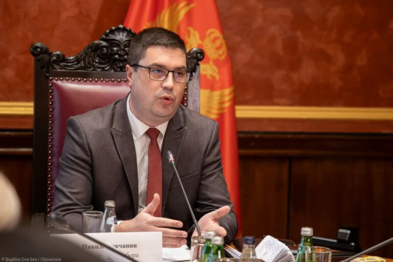 Rovčanin: Odbor za izbornu reformu prvo da razmatra izmjene Zakona i biračkom spisku