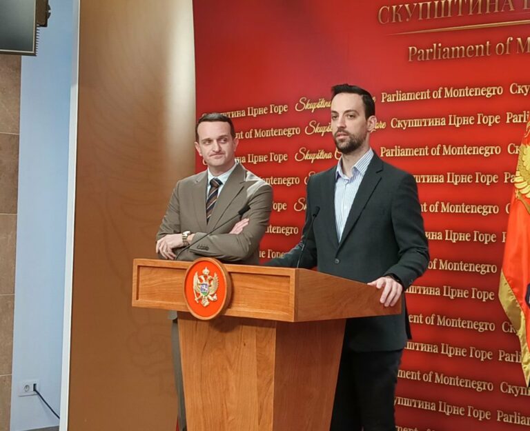 Zirojević: SD će inicirati kontrolno saslušanje Ivanovića povodom prisustva crnogorskih zvaničnika proslavi neustavnog dana RS