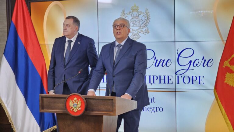 Interpol odbio žalbu Suda BiH za raspisivanjem poternice za Dodikom