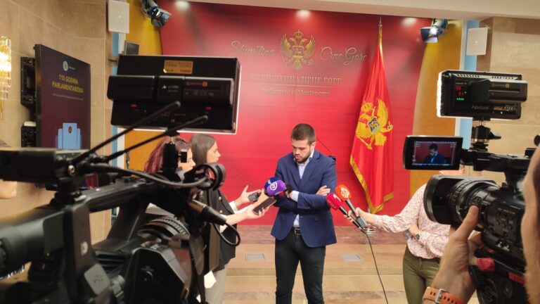 Glupost dana; Nikolić(DPS): Rodić za sada ide utabanim stazama da postane persona non grata