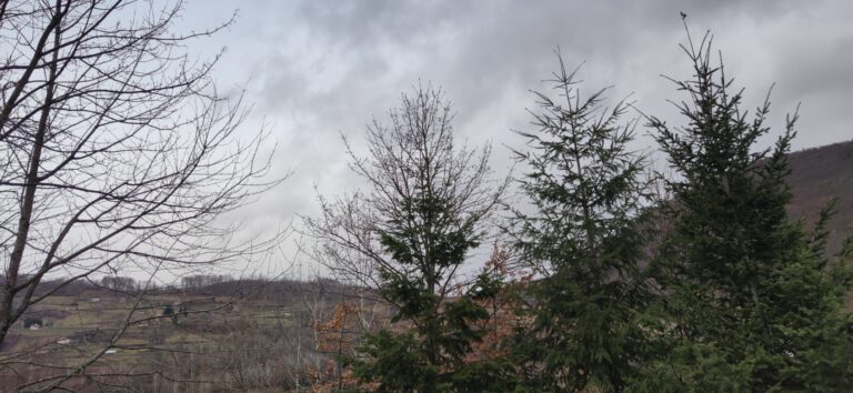 Promjenljivo u prvom dijelu dana, poslijepodne kiša