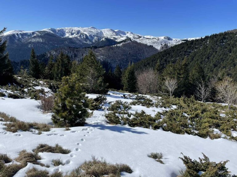 Toplo za ovo doba godine, temperatura do 20 stepeni