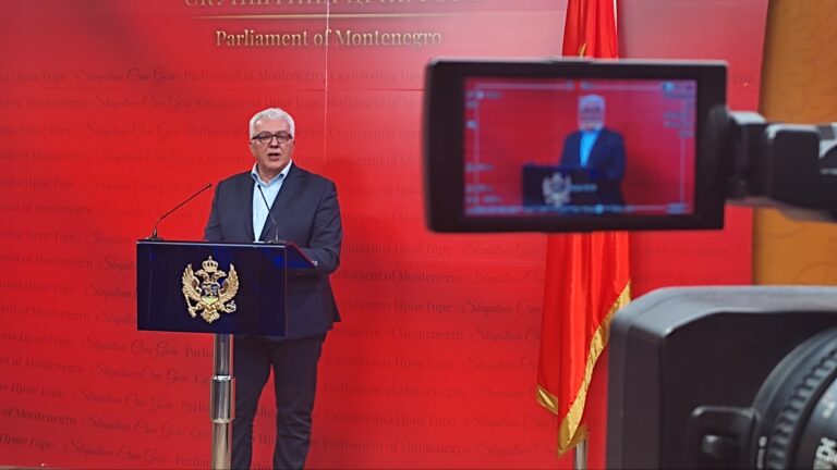 MANDIĆ: Izbor jednog vršioca dužnosti ne bi trebalo da uruši parlamentarnu većinu