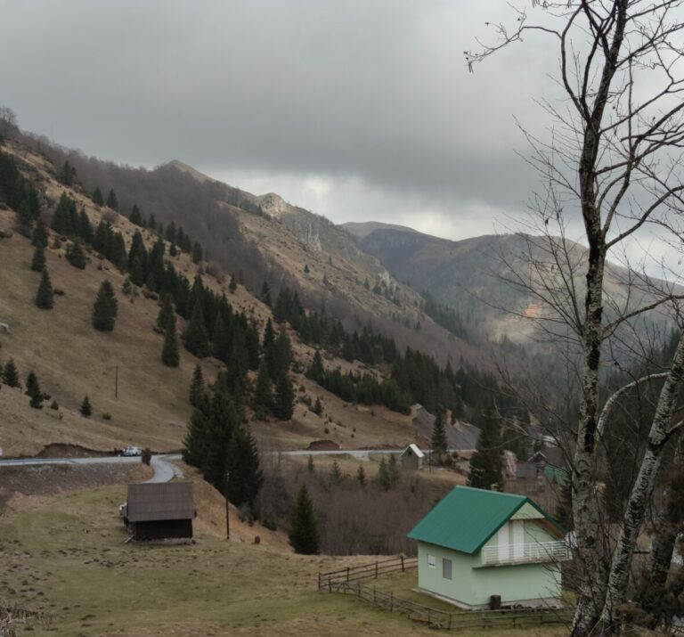 Krivične prijave zbog šumske krađe u Beranama