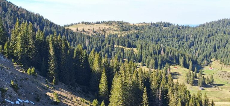 Pretežno sunčano, do 28 stepeni