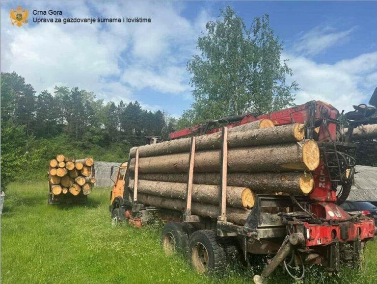 UPRAVA ZA GAZDOVANJE ŠUMAMA: Nova zapljena na Jelovici, uhvaćen i čuvar šuma sa svojim kamionom