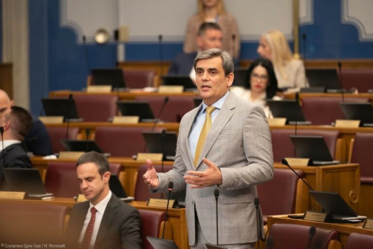 IBRAHIMOVIĆ: Hoće li Crna Gora podržati Rezoluciju UN o genocidu u Srebrenici