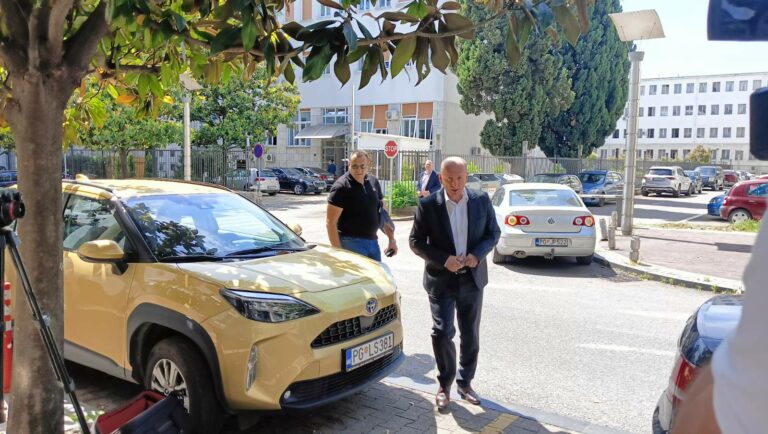 Knežević: DNP neće ući u rekonstruisanu Vladu dok se zahtjevi ne ispune