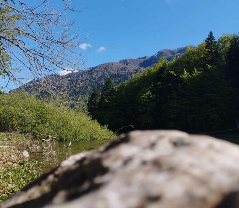 TEMPERATURA 1,6 STEPENI IZNAD PROSJEKA: Ovogodišnji april najtopliji zabilježen u svijetu