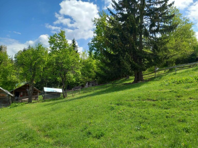 Vremenska prognoza: Promjenljivo oblačno vrijeme sa sunčanim intervalima