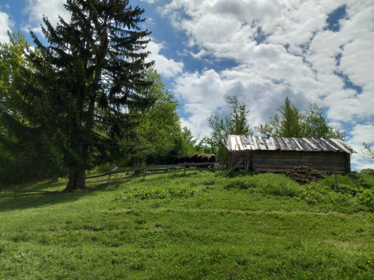 Danas promjenljivo, do 26 stepeni