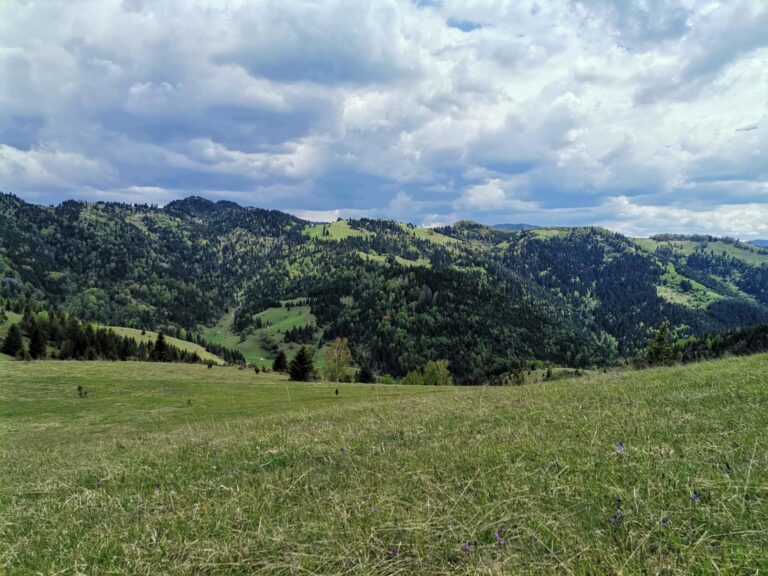 PROMJENA VREMENA: Danas svježije, najavljeni kiša i pljuskovi