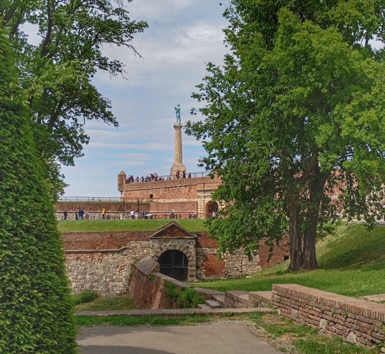 Počeo Prvi Svesrpski sabor, Mandić se sastao sa Vučevićem