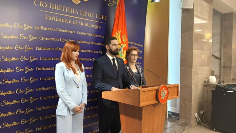 Demokrate: Čim policija i tužilaštvo naprave iskorak protiv mafije, odmah se javlja Marković da zamuti vodu