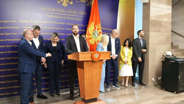 Nikolić: Mandić zloupotrijebio Skupštinu, opozicija će imati adekvatan odgovor