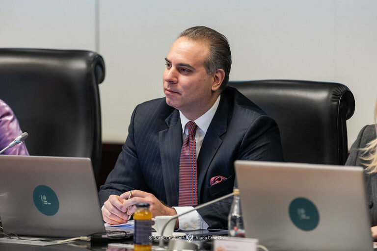 Ivanović: MVP čini sve da ambasadori budu što prije imenovani, čeka se odluka predsjednika države